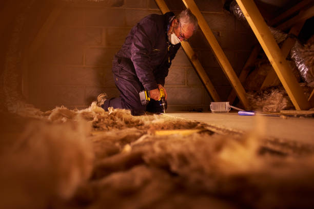 Best Insulation Maintenance and Repair in Rockdale, IL